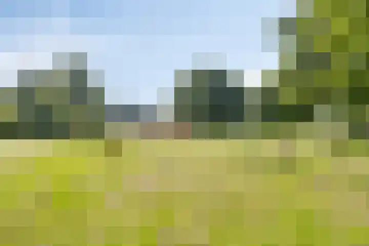 Logger 30 Volendam thumbnail 35