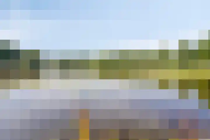 Logger 30 Volendam thumbnail 36