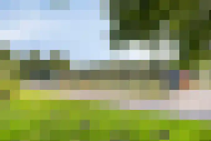 Logger 30 Volendam thumbnail 37