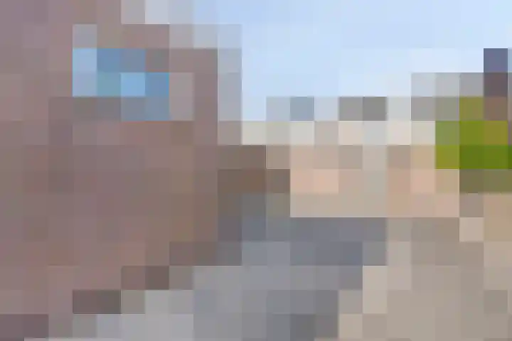 Logger 30 Volendam thumbnail 4