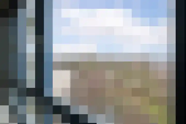 Logger 300 Amstelveen thumbnail 13