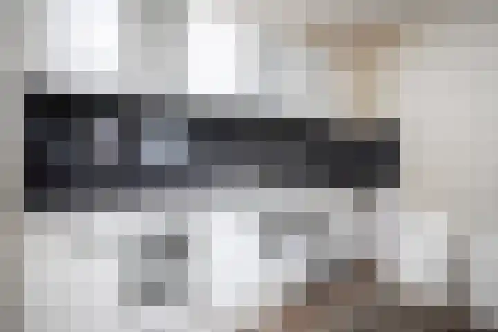 Logger 300 Amstelveen thumbnail 14