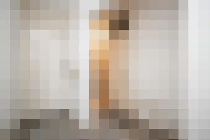 Logger 300 Amstelveen thumbnail 15
