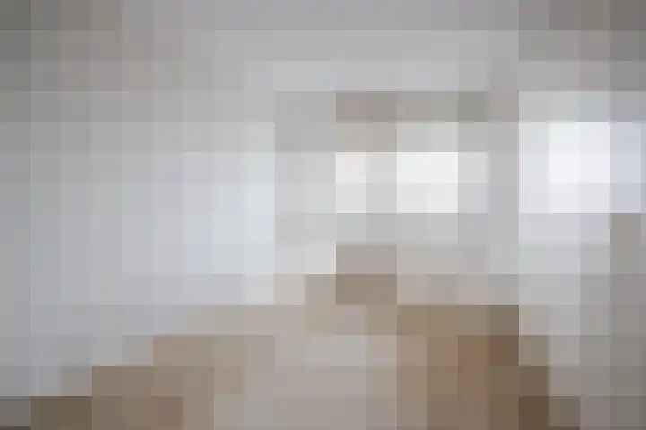 Logger 300 Amstelveen thumbnail 18