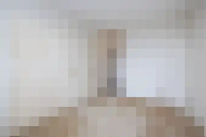 Logger 300 Amstelveen thumbnail 20