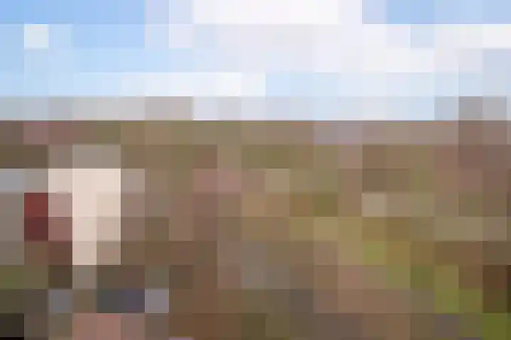 Logger 300 Amstelveen thumbnail 23