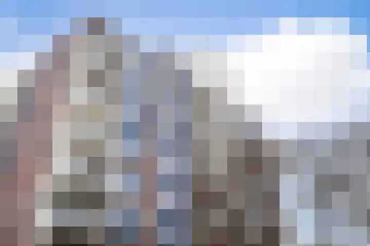 Logger 300 Amstelveen thumbnail 29