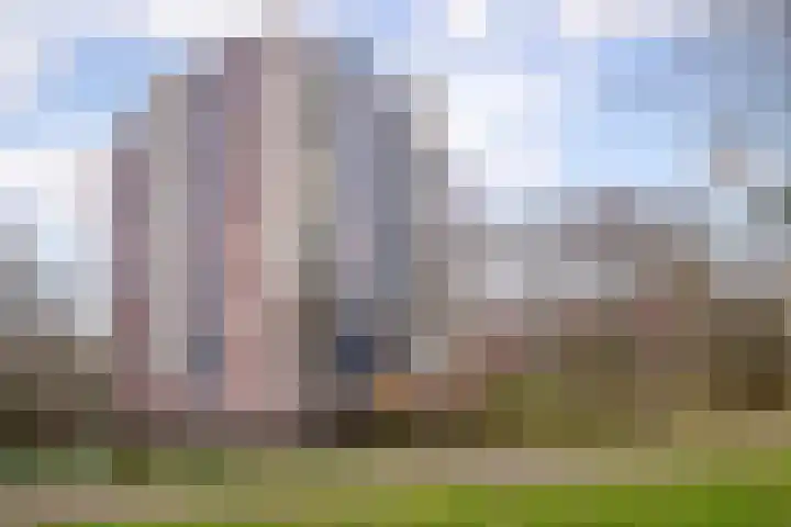 Logger 300 Amstelveen thumbnail 30