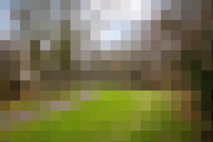 Logger 300 Amstelveen thumbnail 32