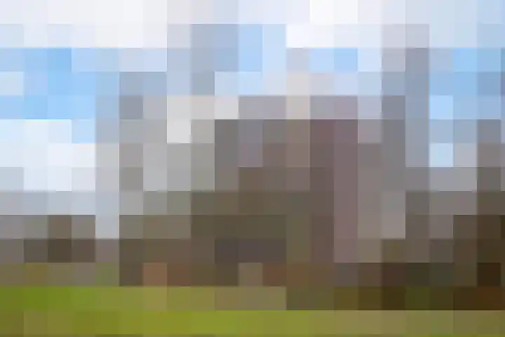 Logger 300 Amstelveen thumbnail 4