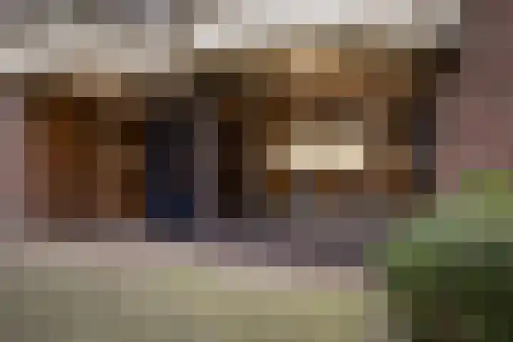 Logger 300 Amstelveen thumbnail 5