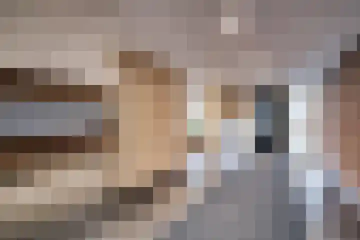 Logger 300 Amstelveen thumbnail 6