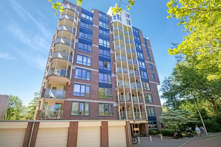 Logger 308 in Amstelveen Foto