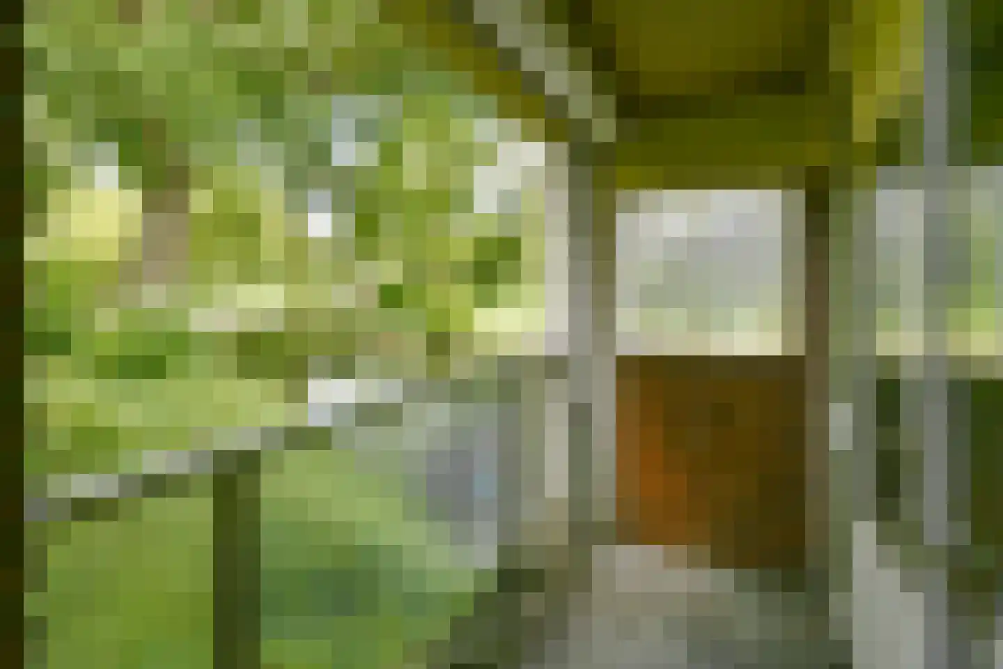 Logger 4 Amstelveen thumbnail 12