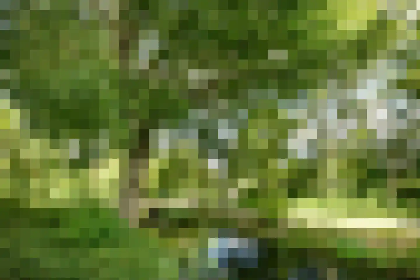 Logger 4 Amstelveen thumbnail 13
