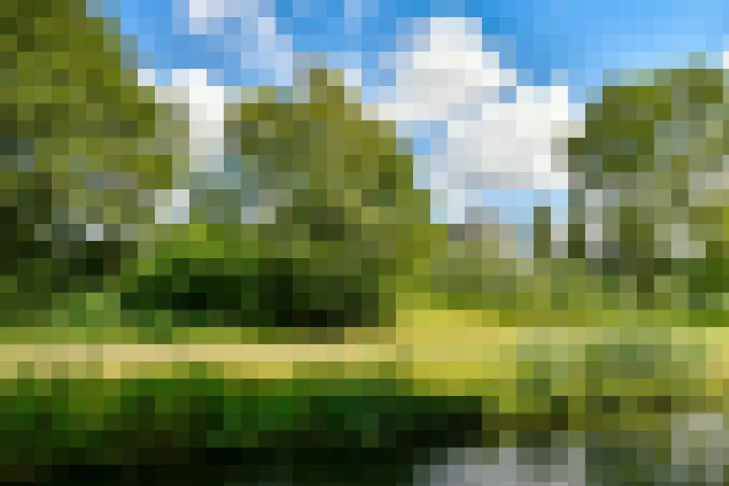 Logger 4 Amstelveen thumbnail 14