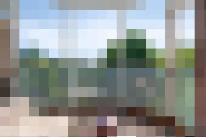 Logger 42 Amstelveen thumbnail 6