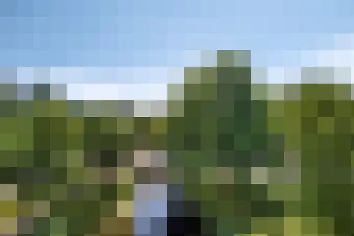 Logger 42 Amstelveen thumbnail 7