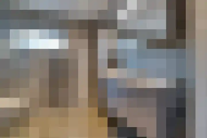 Logger 44 Volendam thumbnail 39