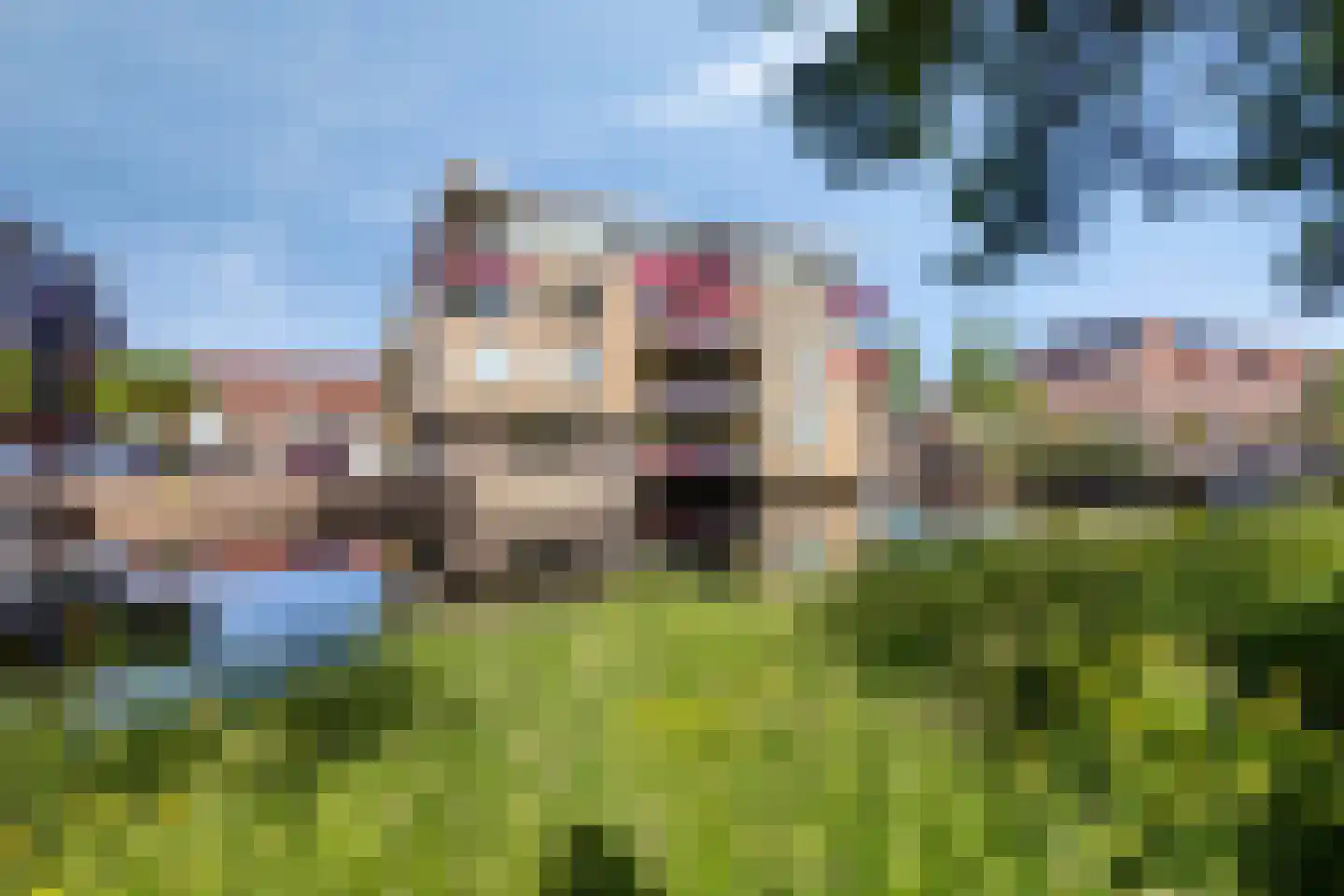 Logger 47 Volendam thumbnail 31