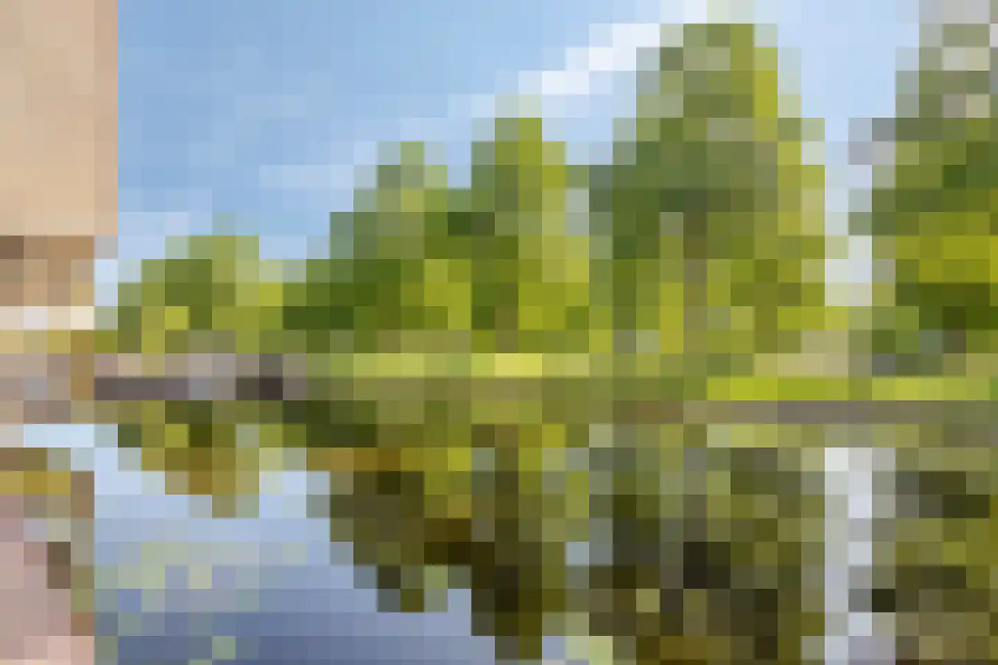 Logger 47 Volendam thumbnail 33