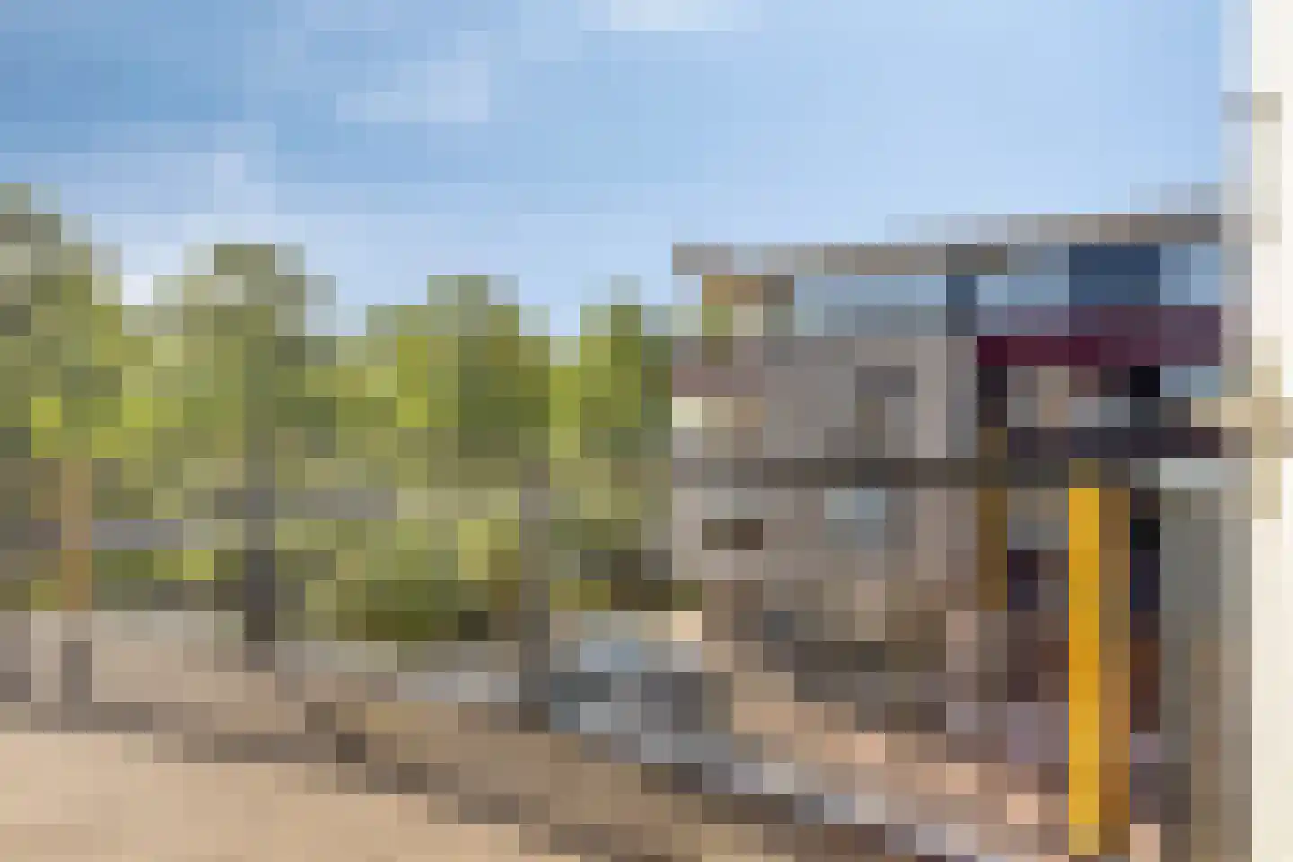 Logger 47 Volendam thumbnail 5