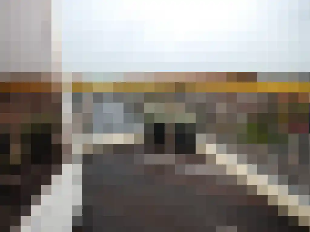 Logger 51 Volendam thumbnail 18