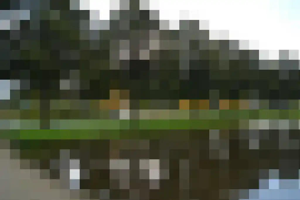 Logger 51 Volendam thumbnail 27