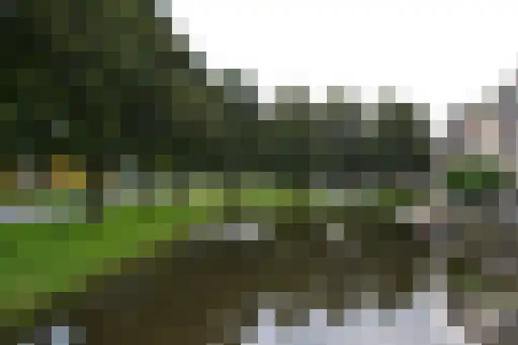 Logger 51 Volendam thumbnail 5