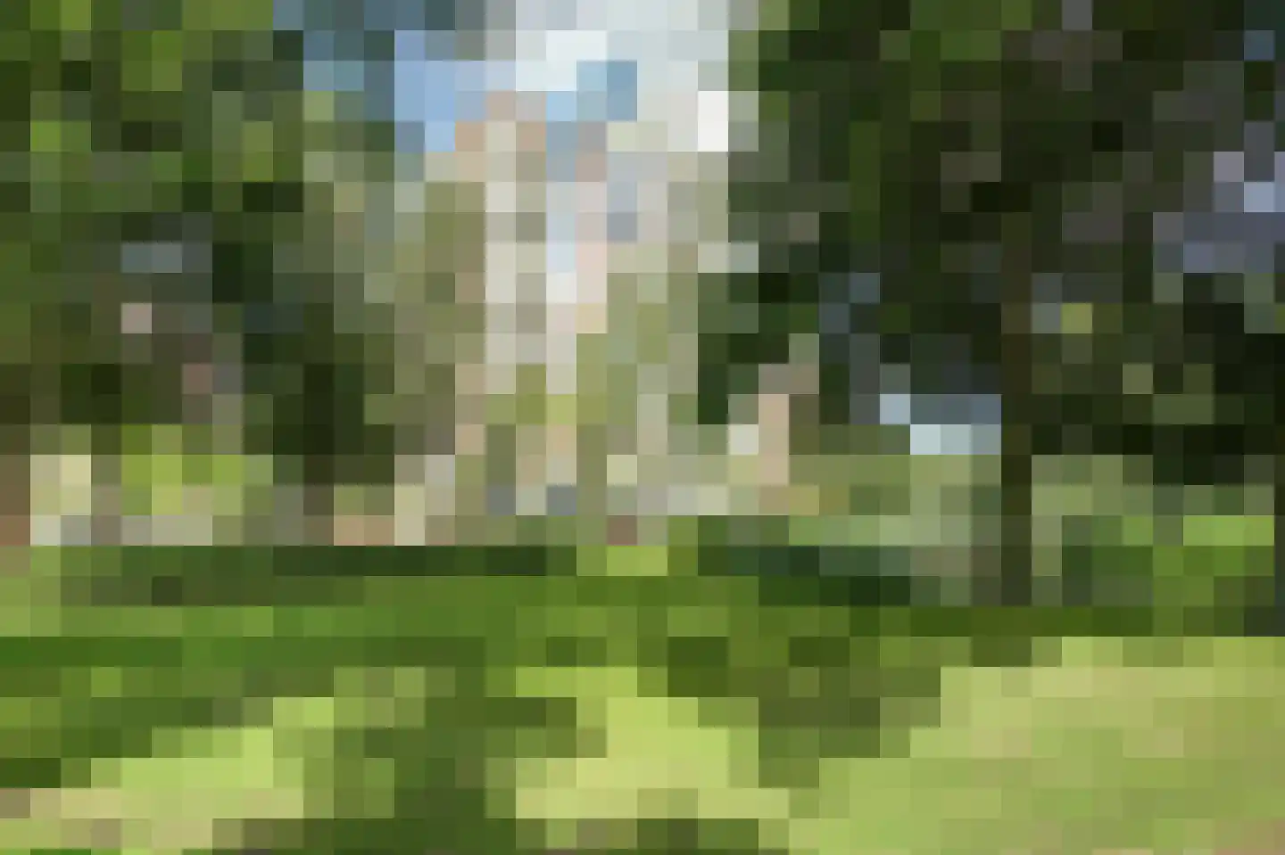 Logger 52 Amstelveen thumbnail 18