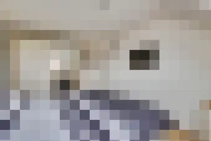 Logger 6 Oosterhout thumbnail 17