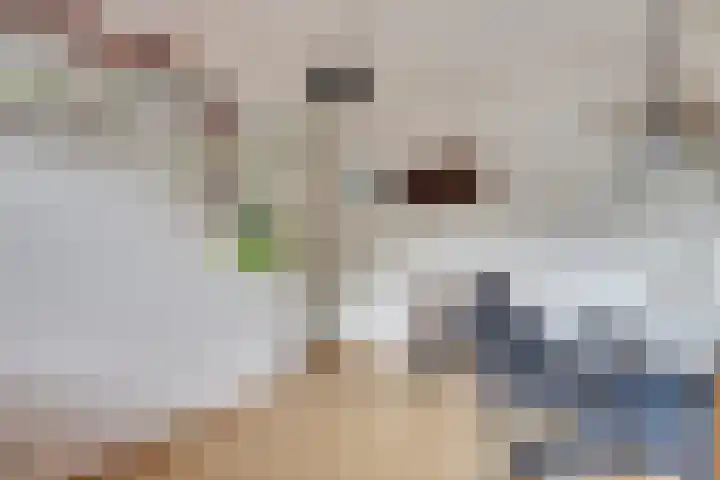 Logger 6 Oosterhout thumbnail 19