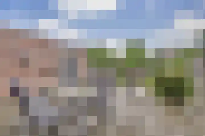 Logger 6 Oosterhout thumbnail 28