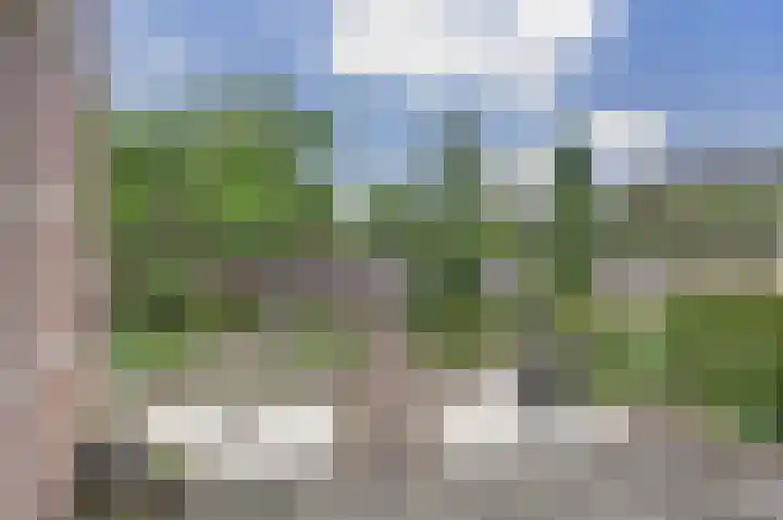 Logger 6 Oosterhout thumbnail 29
