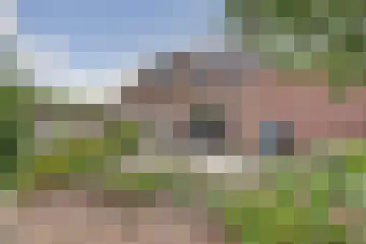 Logger 6 Oosterhout thumbnail 30