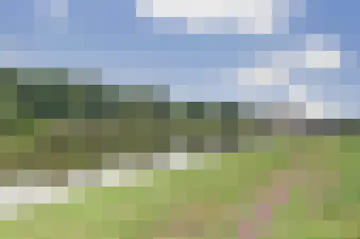 Logger 6 Oosterhout thumbnail 31
