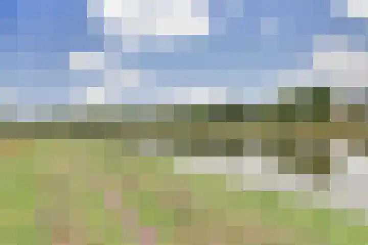 Logger 6 Oosterhout thumbnail 32
