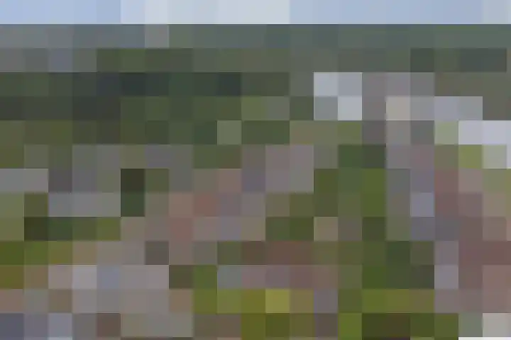 Logger 6 Oosterhout thumbnail 39