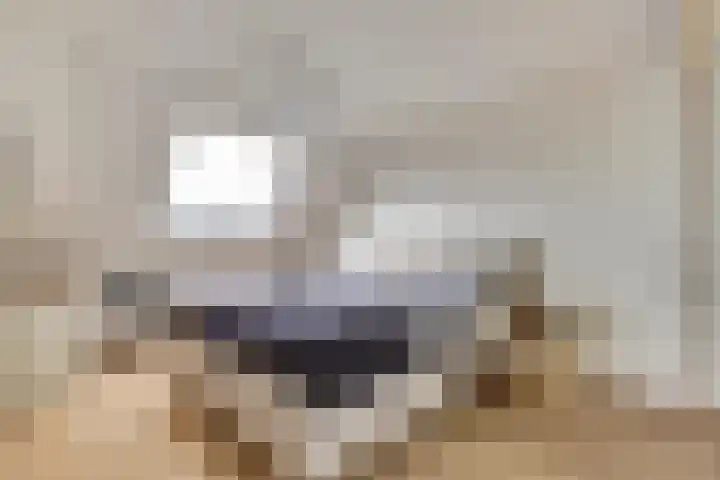 Logger 6 Oosterhout thumbnail 4