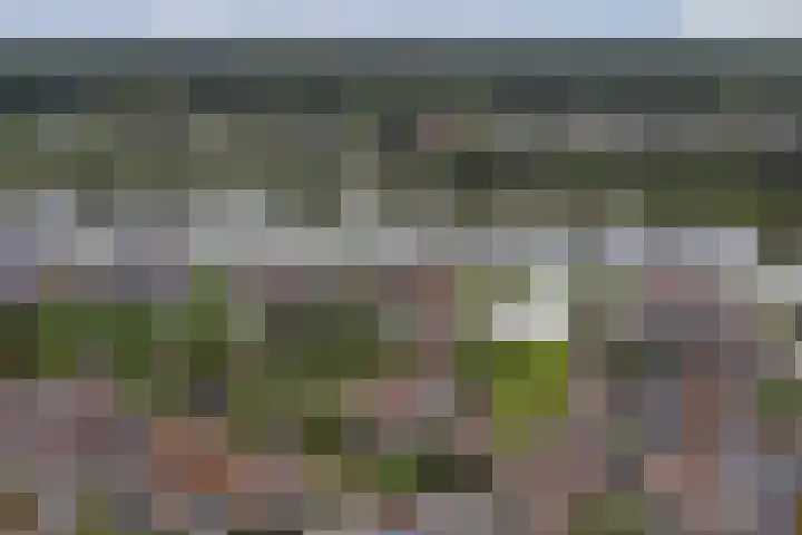 Logger 6 Oosterhout thumbnail 40