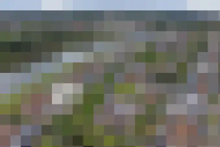 Logger 6 Oosterhout thumbnail 41
