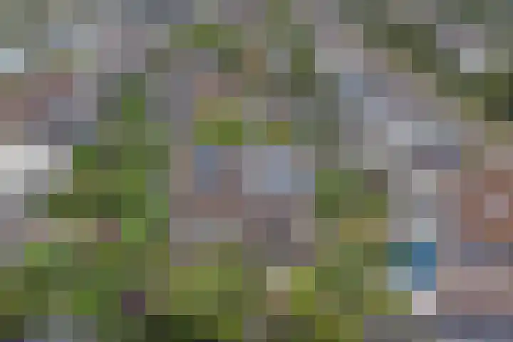 Logger 6 Oosterhout thumbnail 42