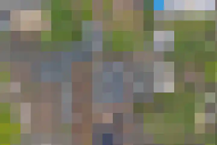 Logger 6 Oosterhout thumbnail 43