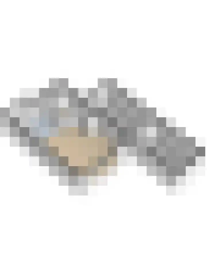 Logger 6 Oosterhout thumbnail 48