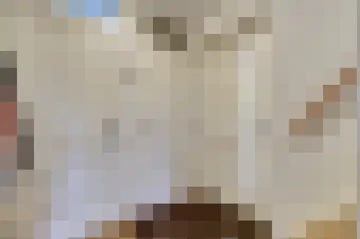 Logger 6 Oosterhout thumbnail 8