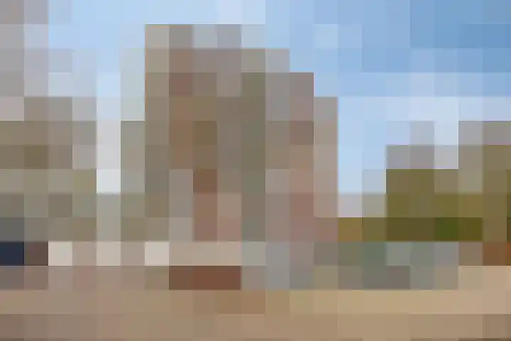 Logger 84 Amstelveen thumbnail 17