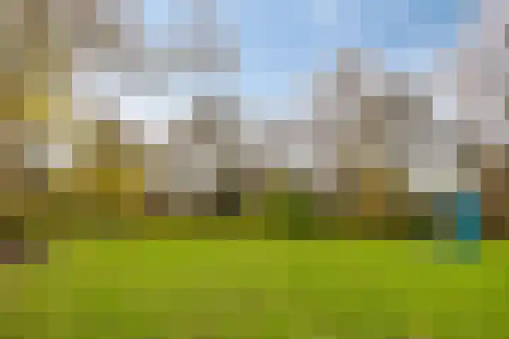Logger 84 Amstelveen thumbnail 19
