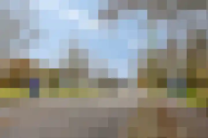 Logger 84 Amstelveen thumbnail 20