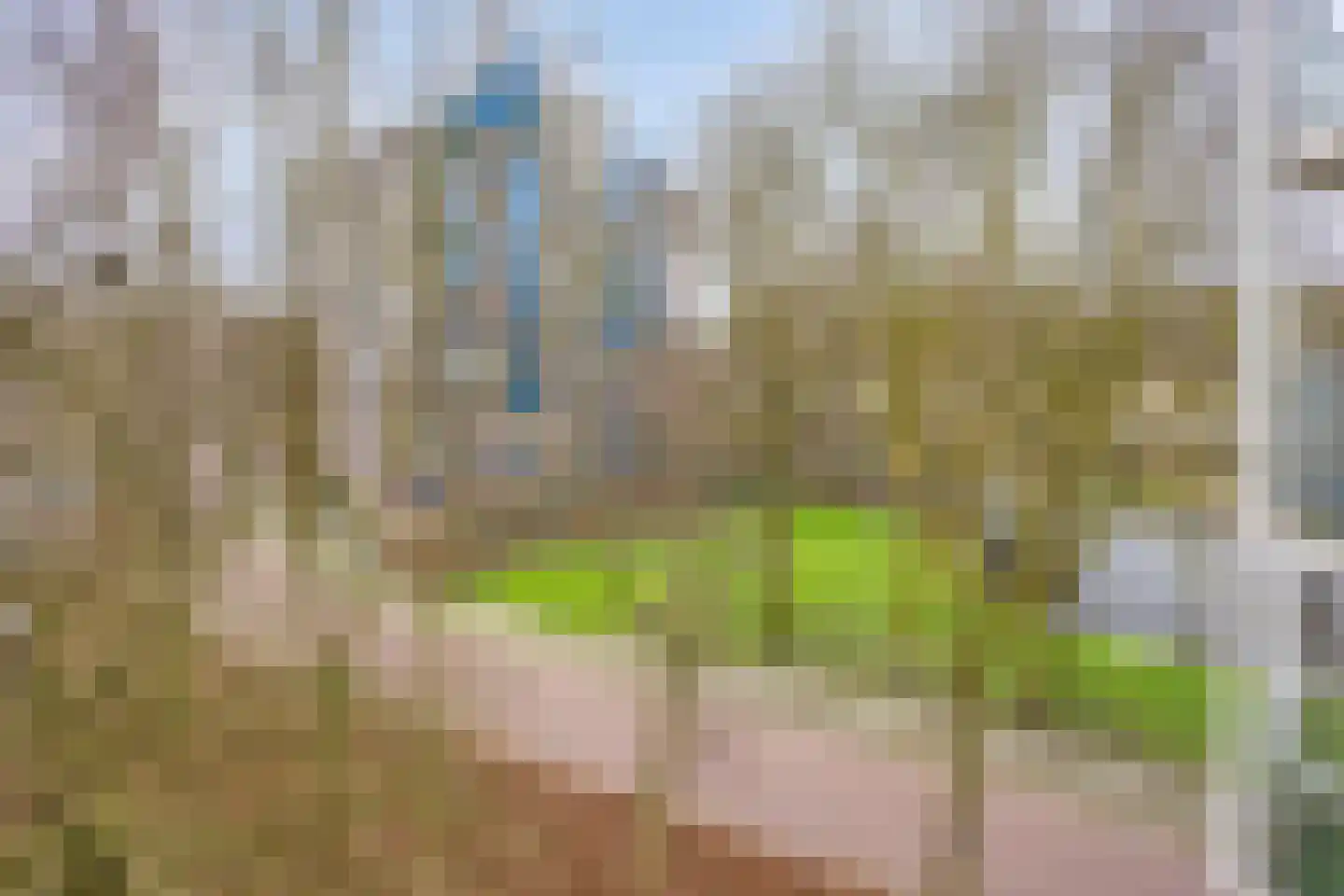 Logger 95 Amstelveen thumbnail 10