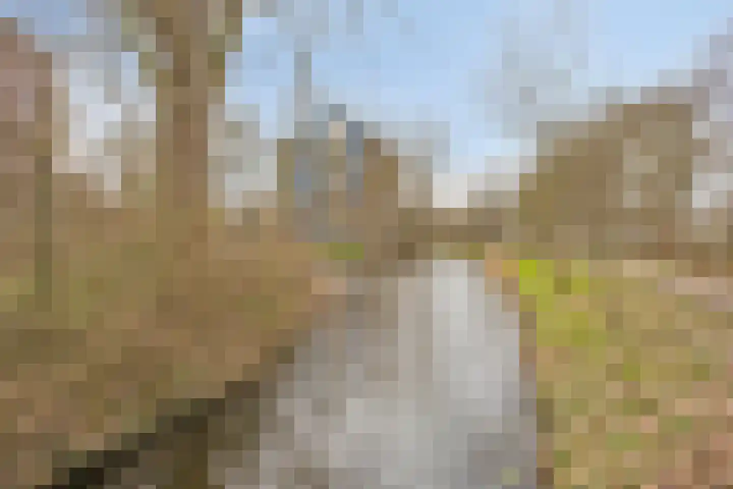 Logger 95 Amstelveen thumbnail 20